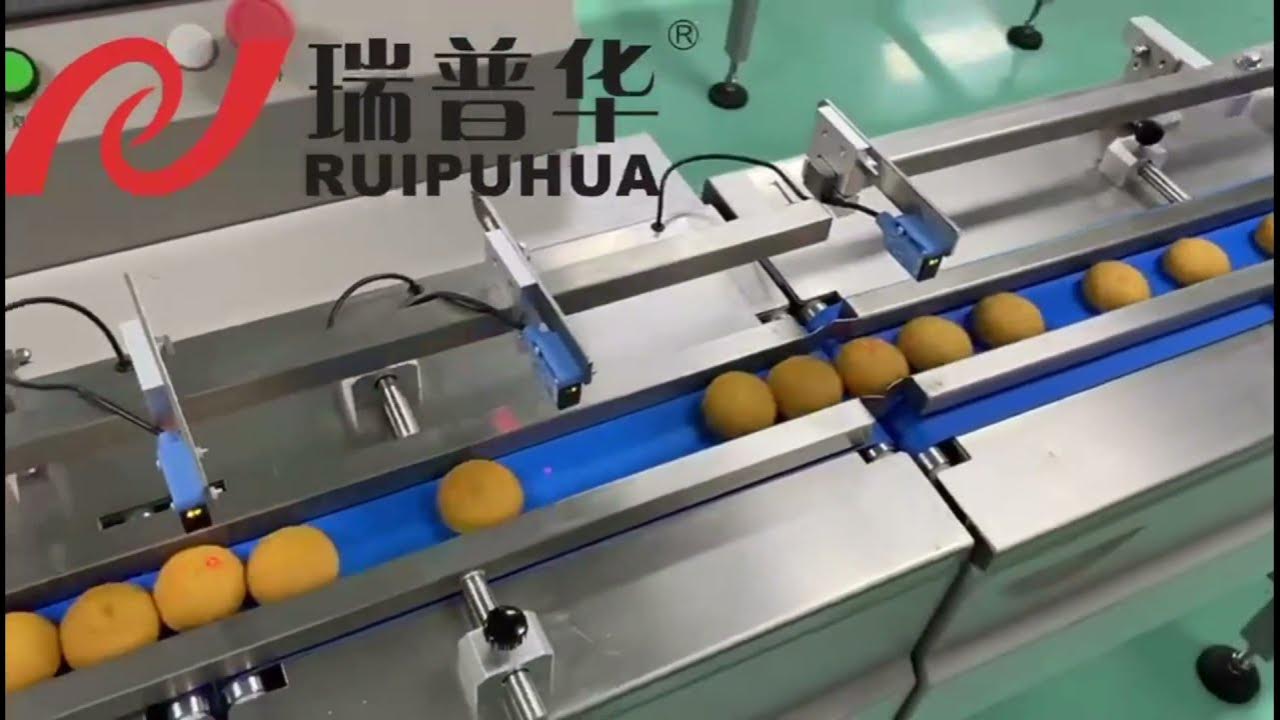 Bakery packaging machine, packaging solutions for bakery 🥯, bread