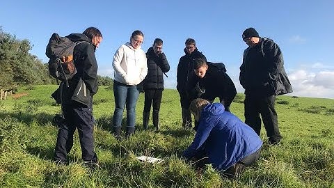 Module 3 Earn Your Stripes: Wildlife Conservation & Threats - 4 How Can I Help?