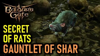 Secret of the Rats in Gauntlet of Shar | Baldur's Gate 3 (BG3)
