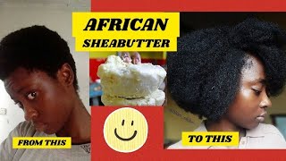 Why You Should Start Using African Sheaer For Your Hair