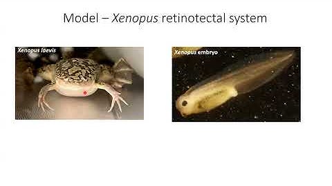 Zoom Seminar December 4th