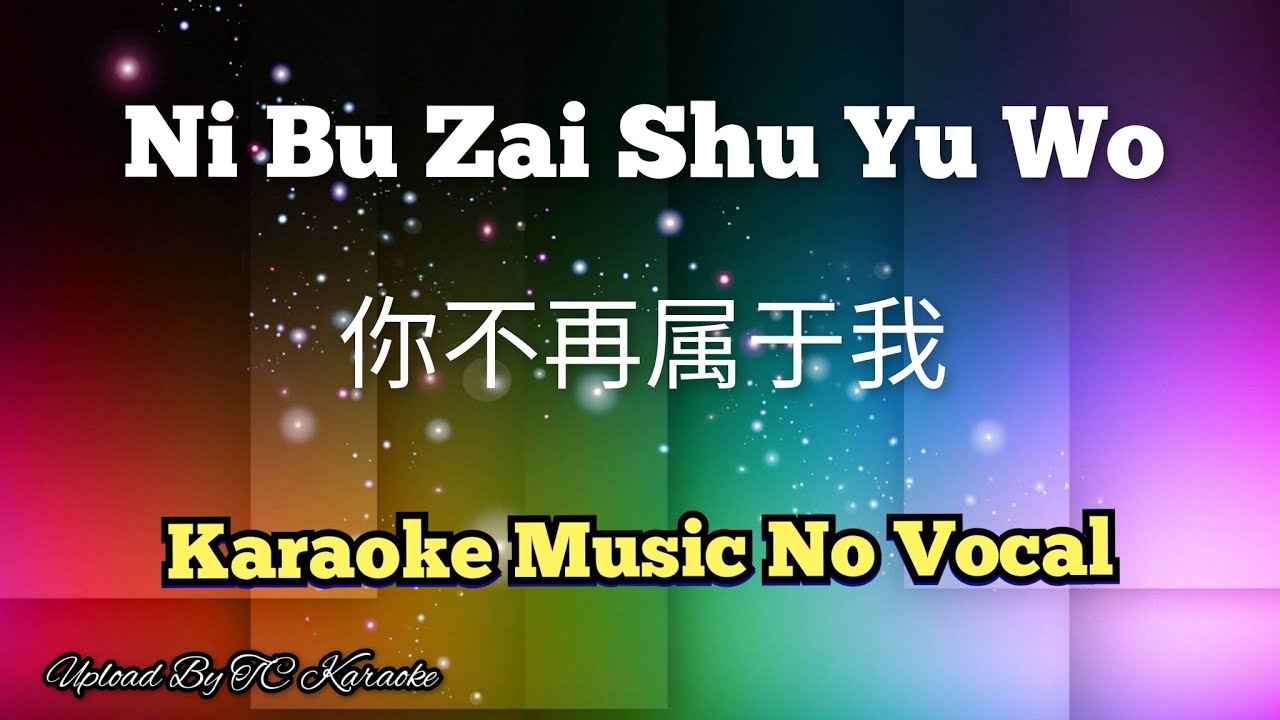 Ni Bu Zai Shu Yu Wo 你不再属于我 karaoke no vocal
