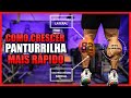 COMO CRESCER PANTURRILHA MAIS RÁPIDO [TREINO COMPLETO]