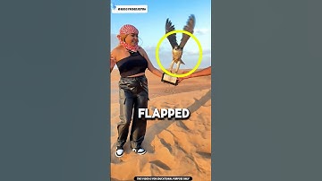 NONO WEIRDOS CLICK SOUND NOOO