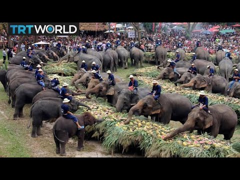 Video: Portretter fra kassetten. Det originale verket til iRI5 -artisten