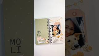 Que a nossa conexão fique eternizada nesse scrap! ❤️🐶 https://youtu.be/gxBZNqpebGE #scrap #tnspread