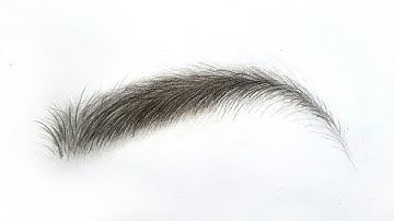 how to draw realistic eyebrows for beginners step by step tutorial