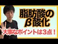 【脂肪酸のβ酸化】絶対理解すべきポイントはたったの3つ!エネルギー代謝を得点源にしよう!