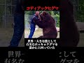 本当に実在?…実際に捕獲された超巨大生物3選 #shorts #ゆっくり解説
