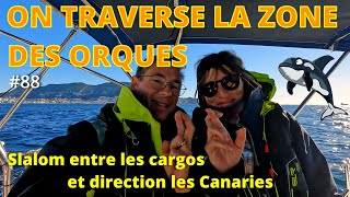 S2#40 On traverse la zone des orques et on croise les doigts pour ne pas les rencontrer !