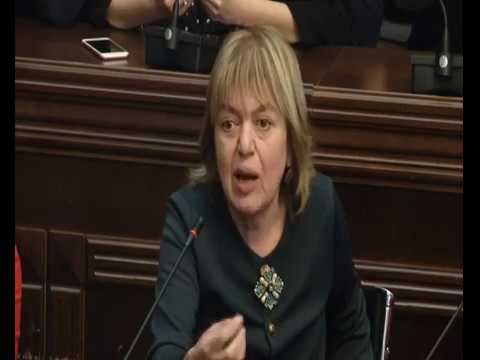 ხმაური პარლამენტში „თიბისისა“ და ხაზარაძის საქმეზე