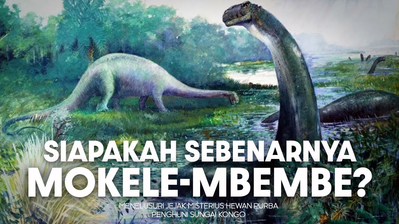 Bagaimana Hewan Purba Ini Bersembunyi di Sungai Kongo? | 