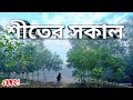 শীতের সকালে Winter Morning!  Daily vlog