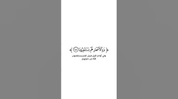 كروما شاشة بيضاء قرآن كريم 🌿تلاوة من سورة الذاريات  🌿القارئ مشاري فالح 🌿