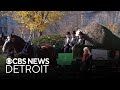 White House Christmas tree arrives from Michigan; Downtown Rochester lights up; other top stories