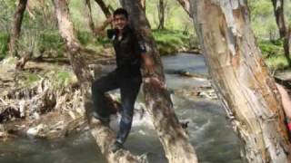 yarim senden ayrılalı - oğuz aksaç (ve ben...)