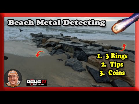 Beach Metal Detecting,
