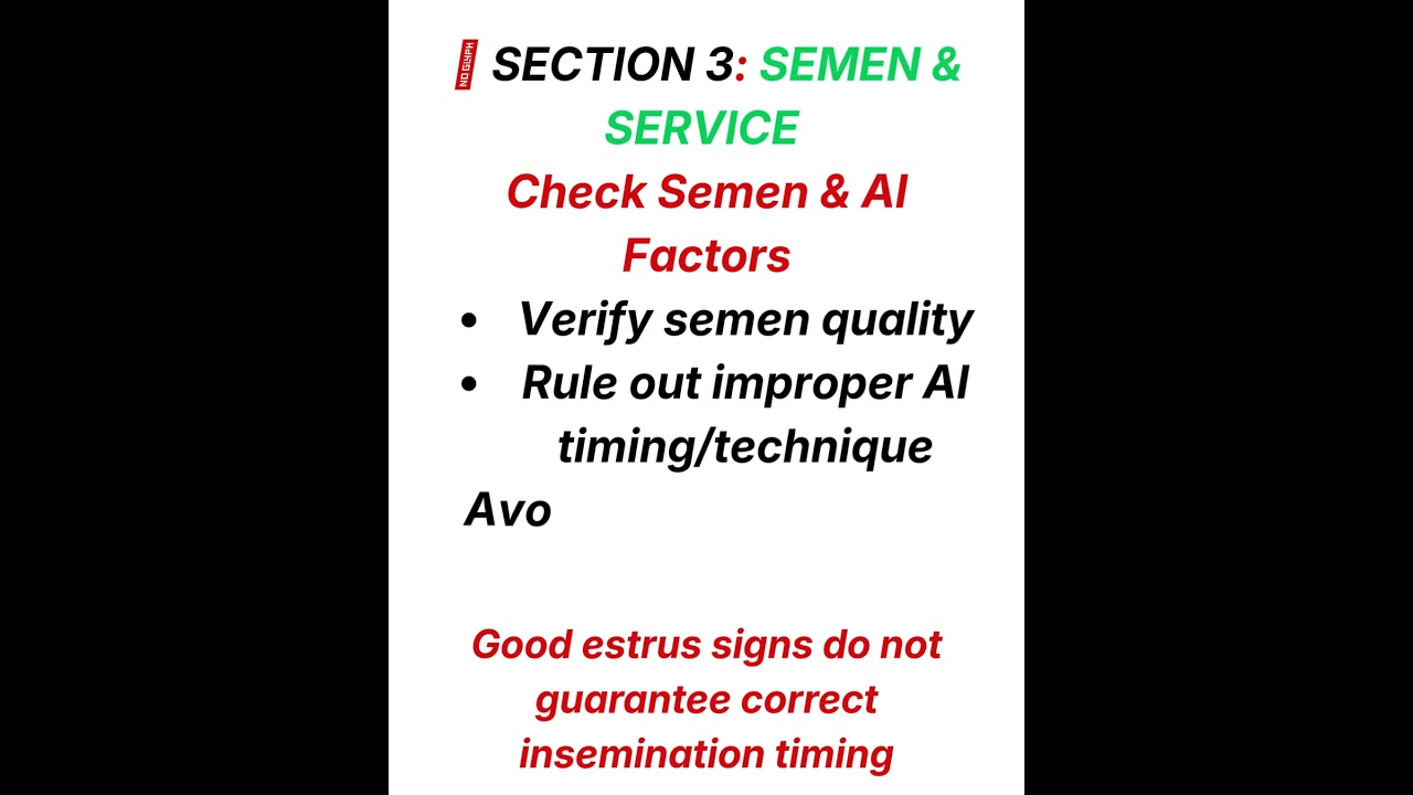 Repeat Breeder Cow: What to Correct Before Next AI?