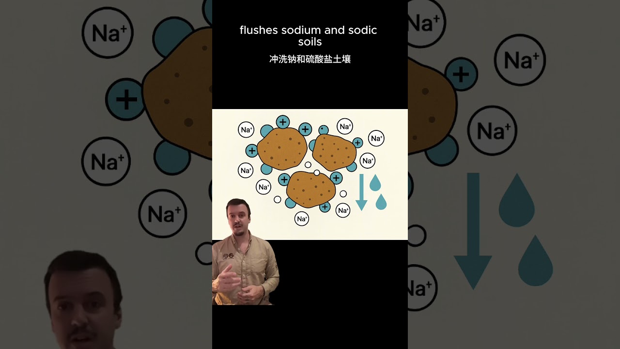 Australian Made Clay Breaker (Liquid Gypsum)