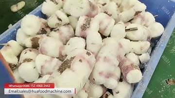 Cassava Peeling And Washing Machine Price In Nigeria