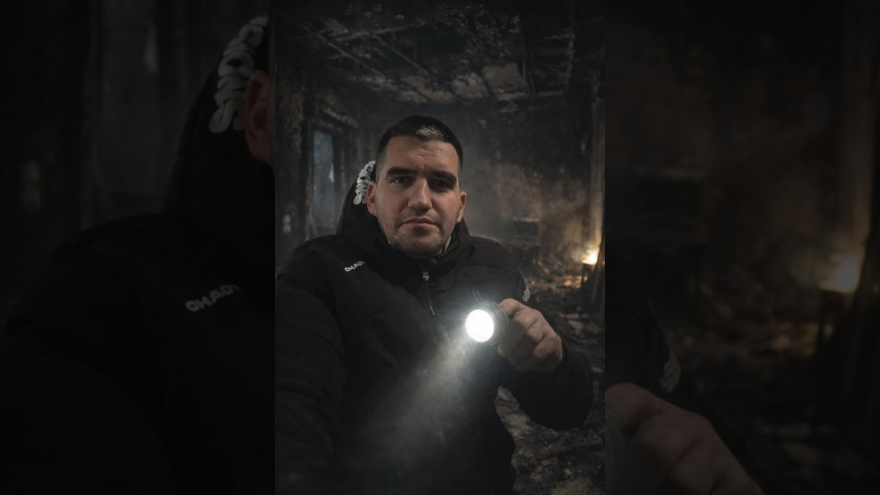 Ο επισκέπτης 