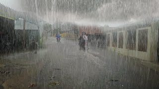 Heavy rain in my village afraid of flooding fell asleep instantly because of the sound of heavy rain by village rain vlog 19,625 views 1 month ago 3 hours, 1 minute