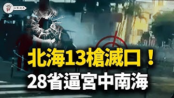 特警瘋狗13槍當街處決！3億陳勝吳廣，萬科334億巨虧救駕，燒光國庫【十二個斷點．第一集】【江峰視界20251127第241期】