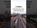 Dwarka Expressway — luxury, connectivity aur growth ka perfect combination. #realestate #gurgaon