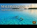 MALDIVES 2026 | 30 MIN Paradise Escape: Dolphins, Coral Reefs & Calming Music 4K