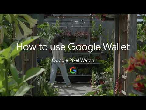 How to Use Google Wallet on your Google Pixel Watch