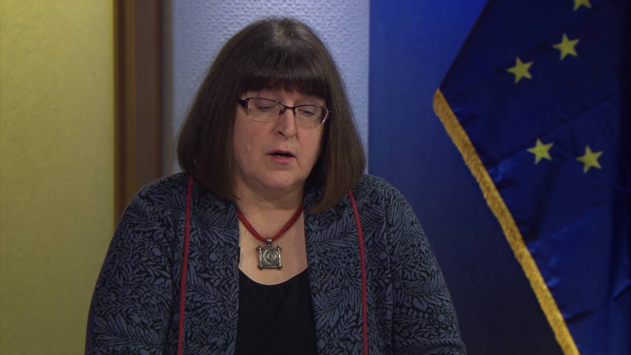 RUNNING 2016 Alaska General Election House District 18 YouTube