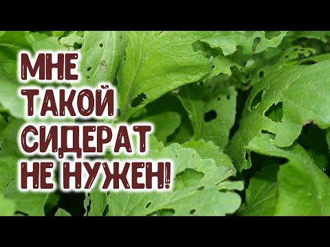 Не треба ми такав сидерат!