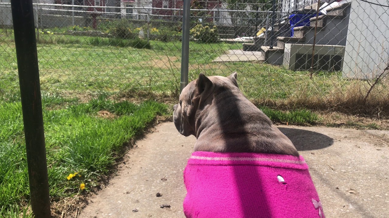 NEW MOVIES *2020* STR8 DROP - Blacc Wayne