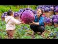 Giant red cabbage harvest day — A warm meal with cabbage soup & fried pork for Nhi, Khoi and Tuyet