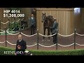 Bishops Bay sells for $1.3 million at the 2025 Keeneland November Horses of Racing Age Sale