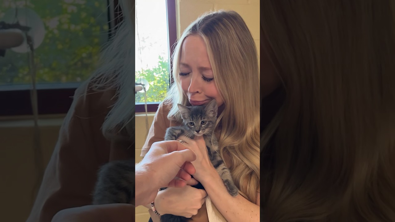 I took her to RESCUE a cat! 🐈‍⬛🥹 