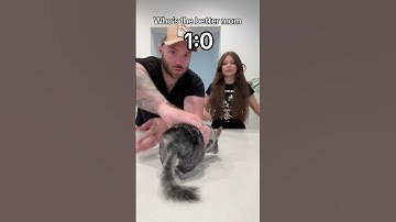 My first chinchilla ever BETRAYED ME