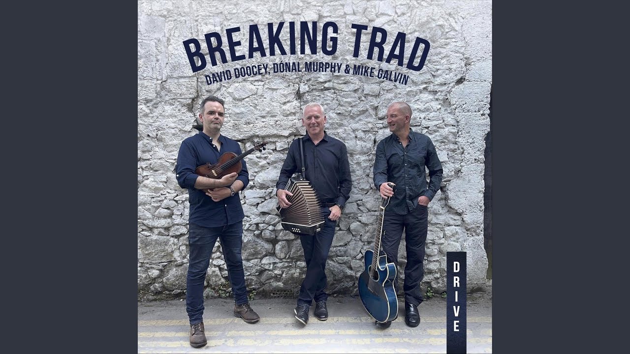 Reels: Bloom of Youth / Aghavas / Harsh February