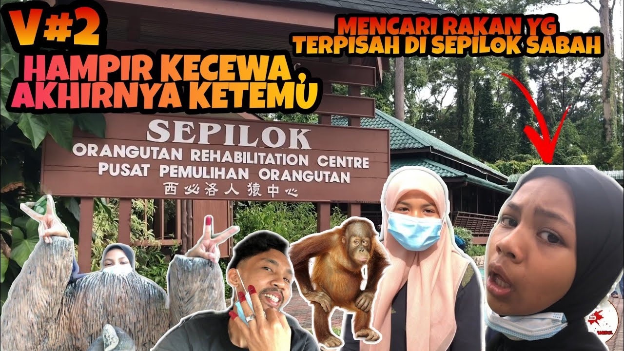 MENCARI RAKAN YG TERPISAH DI SEPILOK SABAH | HAMPIR KECEWA TAPI AKHIRNYA KETEMU | RAINFOREST