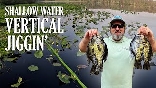 How to VERTICAL JIG for Shallow Water CRAPPIE | Tips, Tricks & Techniques