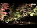 叡山電車鞍馬線「もみじのトンネル」 の動画、YouTube動画。