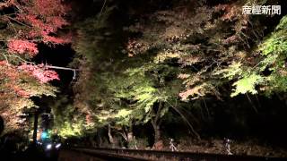 叡山電車鞍馬線「もみじのトンネル」