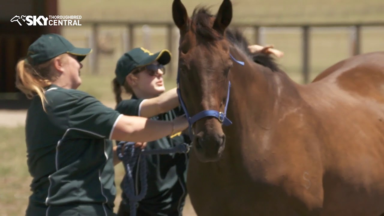 Living Legends Story 2018