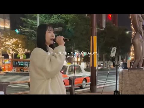 告白 / FUNKY MONKEY BABYS