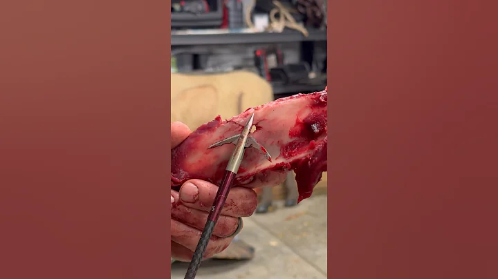 This NEW Broadhead Technology is WILD! 😳| BEAST Broadhead | #beastbroadhead #archery #newtechnology