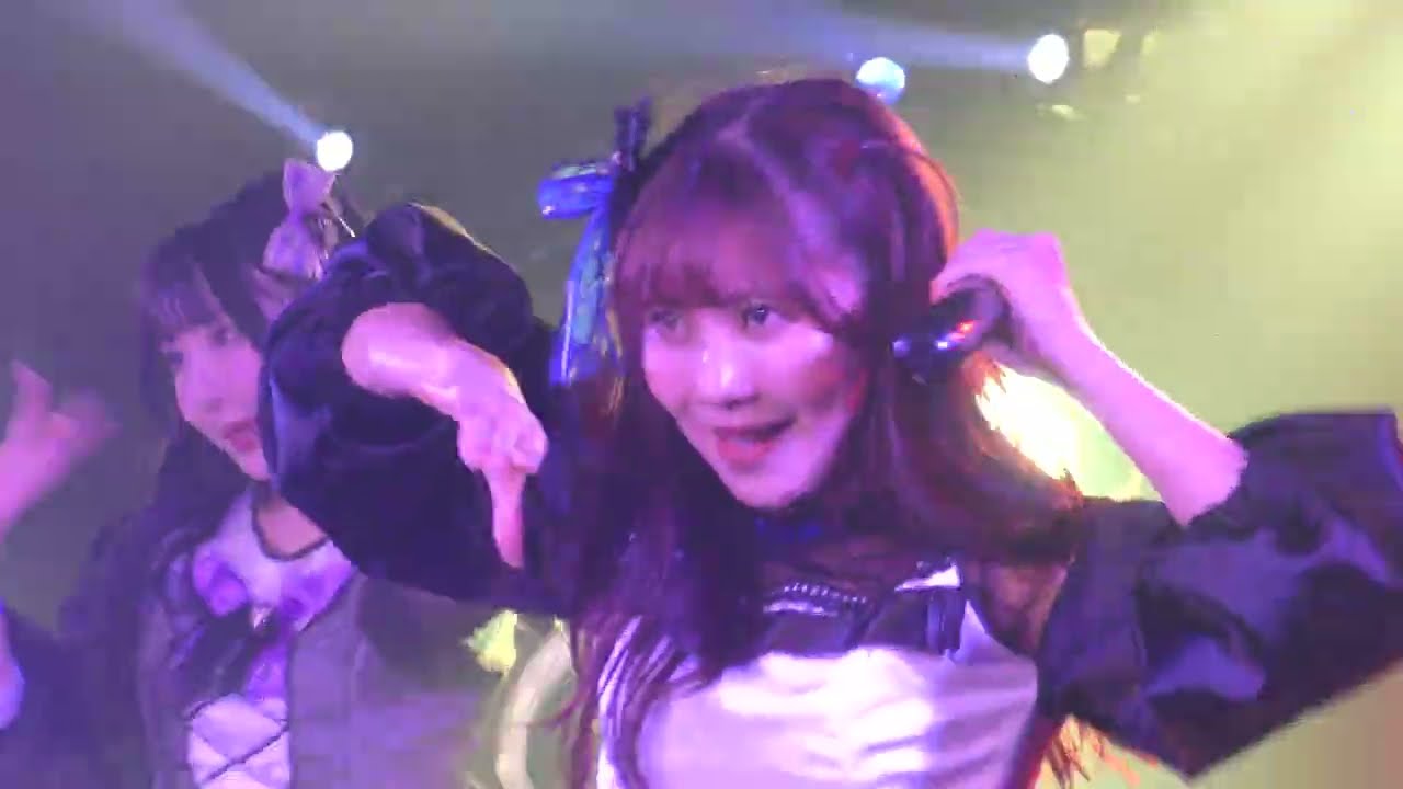 2026/2/27 ai*ai ドドドドーナツアイドル @四谷LOTUS #ai*ai #撮可ライブ #地下アイドル #ライブアイドル