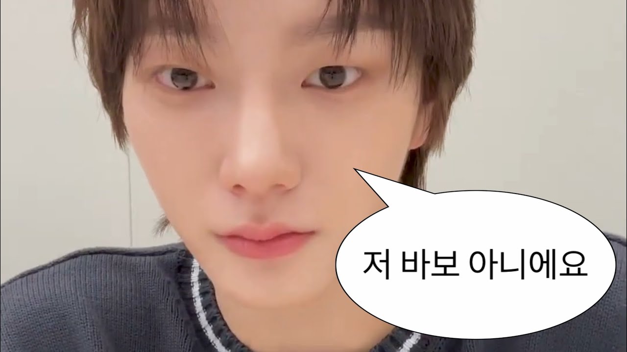 [보넥도/성호] 저 바보 아니에요 | 231116 위버스 라이브 요약