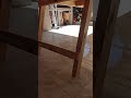 Terminado piso y reflatario de parrillero