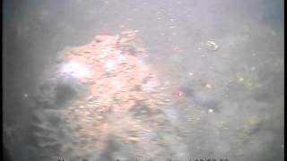 11006_DVD1_1_BIS25.m4v