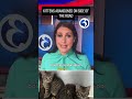 Abandoned kittens in #connecticut